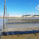 Lägenhet A Arcachon, Proche Plages Et Commerces, Avec Terrasse Et Parking Prive - Fr-1-474-141