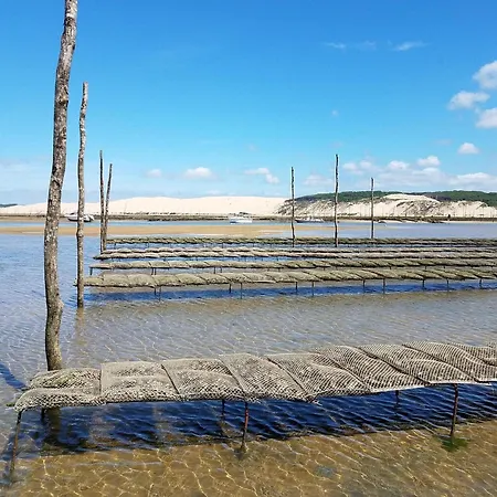 Apartament A Arcachon, Proche Plages Et Commerces, Avec Terrasse Et Parking Prive - Fr-1-474-141