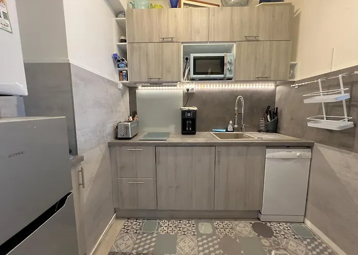 A Arcachon, Proche Plages Et Commerces, Avec Terrasse Et Parking Prive - Fr-1-474-141 アパート