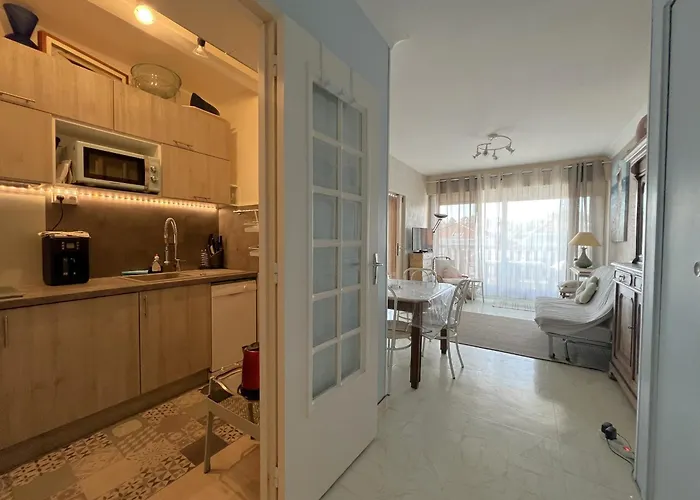 アパート A Arcachon, Proche Plages Et Commerces, Avec Terrasse Et Parking Prive - Fr-1-474-141