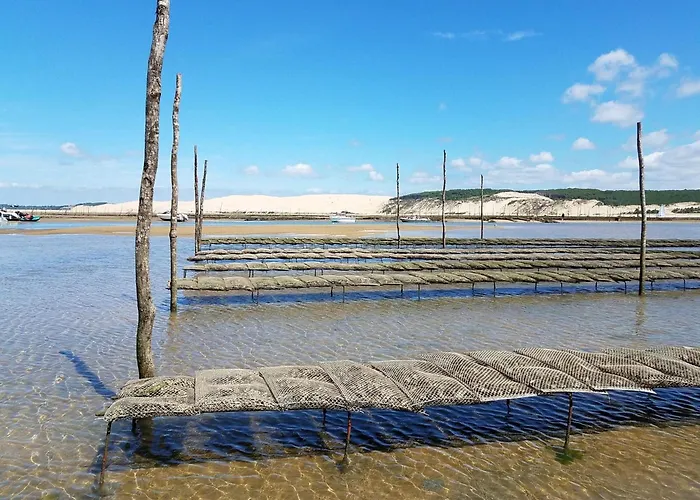アパート A Arcachon, Proche Plages Et Commerces, Avec Terrasse Et Parking Prive - Fr-1-474-141